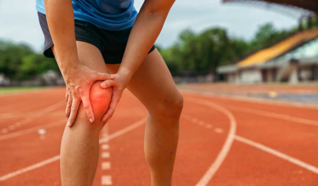 Chiropractor in south burlington vt | top rated chiropractor in south burlington, vt | chiropractor in south burlington vt