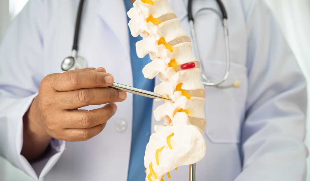 Disc Injuries | Top Rated Chiropractor In South Burlington, Vt March 21, 2026 Chiropractor evaluating spinal disc injury and back pain